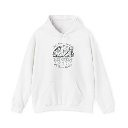 Kings Mountain Roots Hoodie